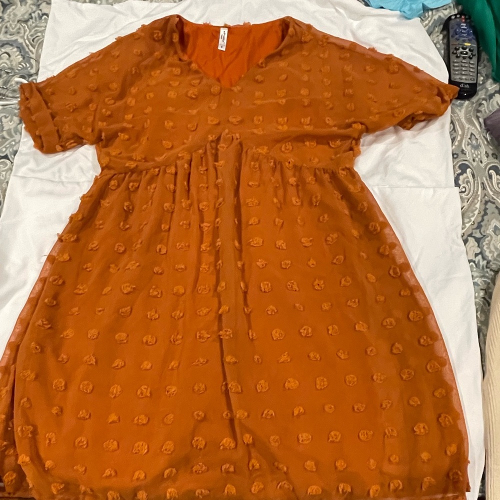 Burnt orange dress. Sheer overlay with raised dots, fully lined.